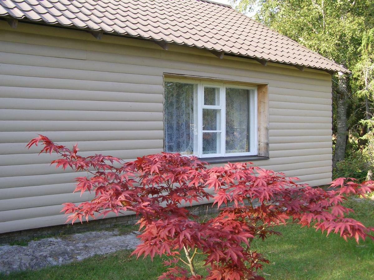 Kipi-Koovi Holiday Centre Exterior foto
